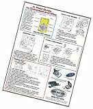 Wall Map & Compass EDU Poster