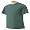 Steel Green