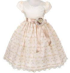 Lace Embroidered Two-Toned Tea Length Organza  Dress