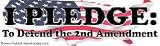 Bumper Sticker: "I Pledge: To Defend the 2nd Amendment"