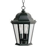 1009BK - Exterior Pendants Maxim Lighting