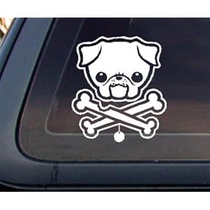 Bone Car
