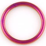 Color Coated Stainless Steel Segment Ring: 16g, 3/8, Purple