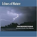 Echoes of Nature: Thunderstorm