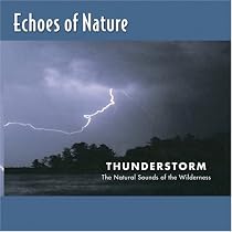 Echoes of Nature: Thunderstorm