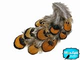 Golden Yellow Reeves Venery Pheasant Plumage Feathers, 0.1 Oz.