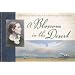 Blossom in the Desert:  Reflections of Faith in the Art and Writings of Lilias Trotter