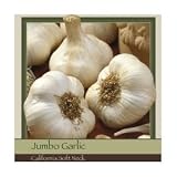 Honeyman Farms Garlic California Softneck - 3 Pack