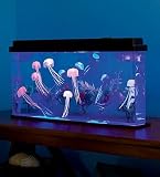 Giant Jellyfish Aquarium with Color-Changing LED Lights