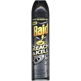 Raid Reach & Kill Wasp & Hornet Killer Refill 17.5 oz