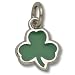 Boston Celtics Plain Shamrock 5/8