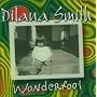 Wonderfool