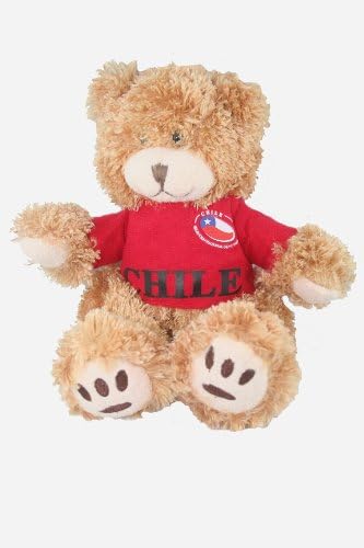 LITTLE BEARS Chile Small 10" Jersey Bear New