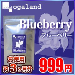 オーガランド　お徳用ブルーベリー(約3ヶ月分