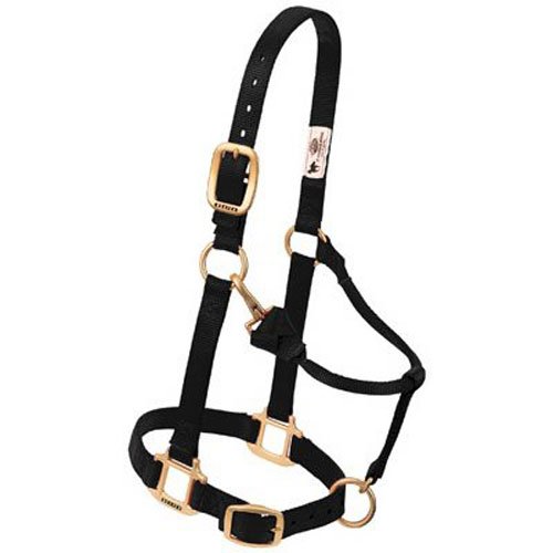 Weaver Leather Original Adjustable Chin and Throat Snap Halter, Black, Average Horse Size