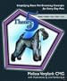 Theory of 5 ~Simplified Steps Dog Grooming Book
