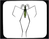 Decorated Mouse Pad with green, insect, beetle, crawling, antennae