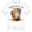 Chesapeake Bay Retriever Chessie Property Of Adult T Shirt