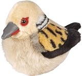 Buy Wild Republic Bb Bird Turtle Dove 5 by Wild Republic