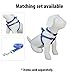 Pawtitas 6 FT Pet Puppy Leash Reflective Dog Leash Comfortable Handle Highly Reflective Threads Heavy Duty Dog Training Leash Available as a 6 ft Medium Dog Leash or 4 ft Dog Leash