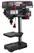 Black Bull DP5UL 5 Speed Drill Press