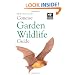 New Holland Concise Garden Wildlife Guide (New Holland Concise Guides)