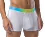 2(x)ist Men's Optic Trunk
