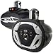 Boss MRWT69 6 x 9-Inch 4-Way Waketower Speaker System (Single)