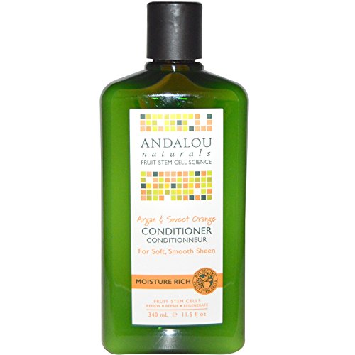 Andalou Naturals Argan Oil and Sweet Orange Natural Moisture Rich Organic Shampoo and