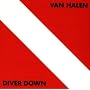 Diver Down