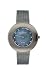 Skagen Women's Titanium Mesh Watch #569STM