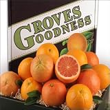 Citrus Medley
