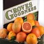 Citrus Medley