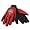 New Mexico Lobos