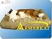 Pet Supplies : Armarkat Cat Dog Pet bolster beds bed house Bag Medium #P0345M