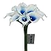 Lily Garden Mini 15