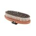 Swix Oval Steel Brush