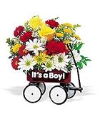 Baby's First Wagon - Boy