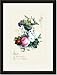 Black Framed/Matted Print 17x23, Fruit with Roses