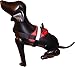 HDP Big Dog Soft No Pull Harness Size:XLarge Color:Black