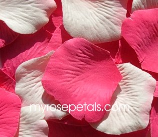 200 Silk Rose Petals Wedding Favors-Multi Colors – Hot Pink & Ivory/Pink