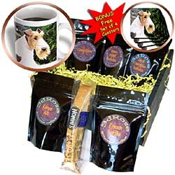 Dogs Fox Terrier - Fox Terrier - Coffee Gift Baskets - Coffee Gift Basket by 3dRose LLC