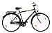28" TEXO Herren City Fahrrad mit 3-Gang Rücktrittbremsnabe (106)