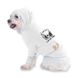 41h5eye78GL. SL160  Dog Insurance