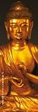 Posters: Buddha Door Poster - The Four Noble Truths II (62 x 21 inches)