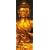 1art1 36845 Buddha - Die Vier Edlen Wahrheiten II T�r-Poster (158 x 53 cm)