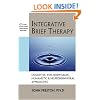 Integrative Brief Therapy: Cognitive, Psychodynamic, Humanistic & Neurobehavioral Approaches (Practical Therapist Series)