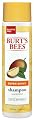 Burt's Bees Super Shiny Shampoo, Mango, 10 Ounce by Burt's Bees, Inc.