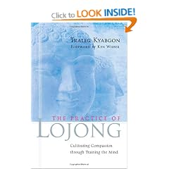 The Practice of Lojong: Cultivating Compassion Through Training the Mind