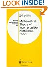 Mathematical Theory of Incompressible Nonviscous Fluids (Applied Mathematical Sciences) (v. 96)